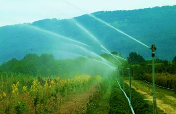 Landwirtschaft
