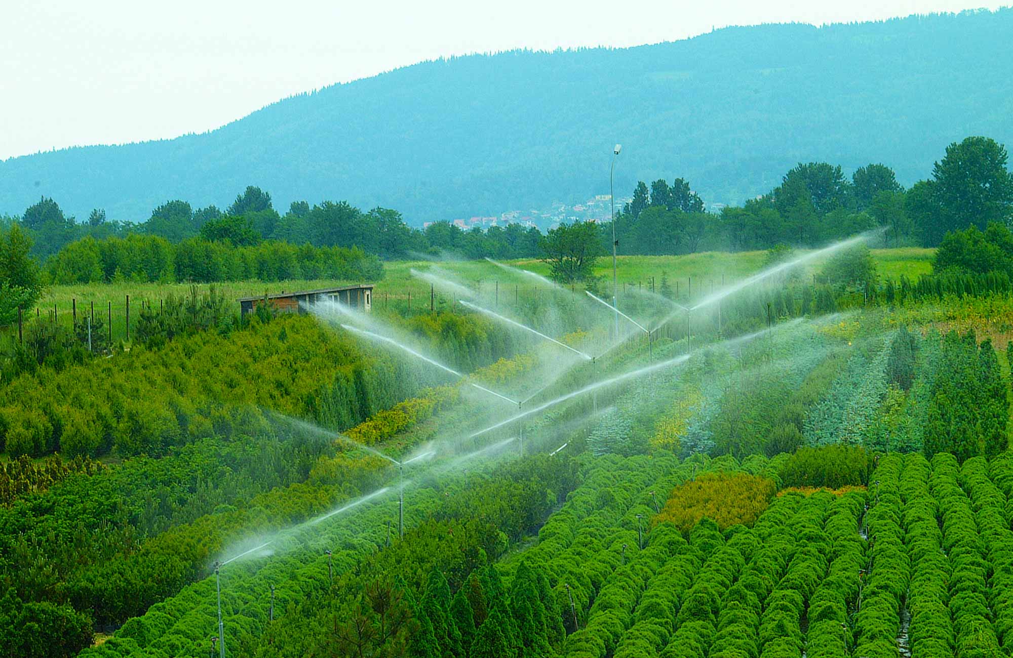Landwirtschaft 01
